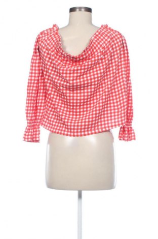Damen Shirt Terranova, Größe L, Farbe Mehrfarbig, Preis € 9,74
