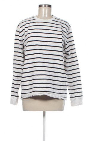 Damen Shirt Zara, Größe L, Farbe Mehrfarbig, Preis 18,99 €
