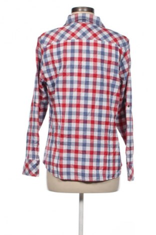 Damenbluse Etam, Größe L, Farbe Mehrfarbig, Preis 11,99 €