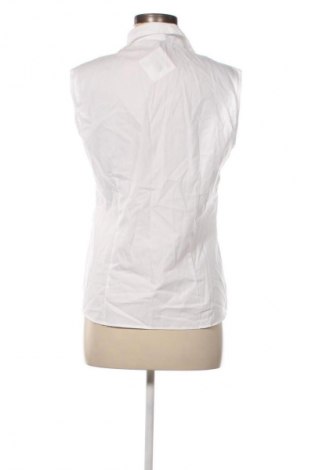Damenbluse Eterna, Größe M, Farbe Weiß, Preis 33,99 €