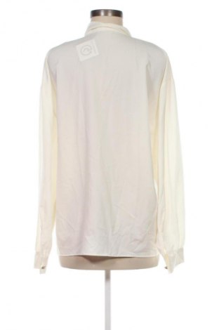 Damska koszula Pierre Cardin, Rozmiar XL, Kolor Żółty, Cena 129,23 zł