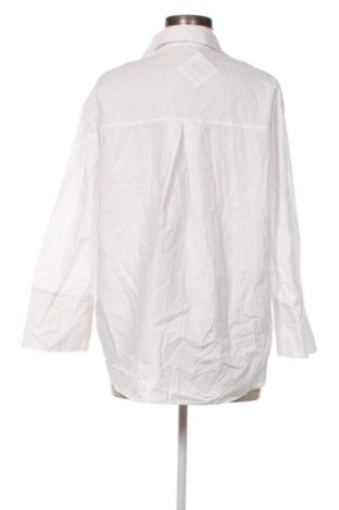 Damenbluse Zara, Größe M, Farbe Mehrfarbig, Preis 8,99 €