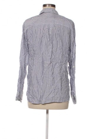 Damenbluse Zara, Größe L, Farbe Mehrfarbig, Preis 18,99 €