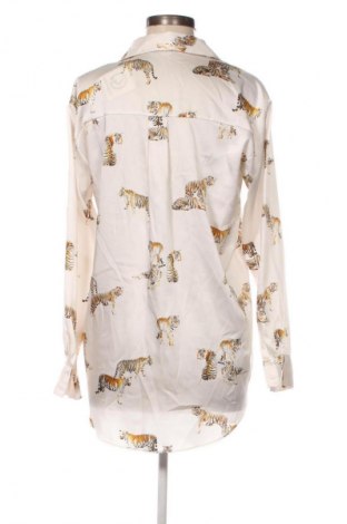 Damenbluse Zara, Größe S, Farbe Mehrfarbig, Preis 18,99 €
