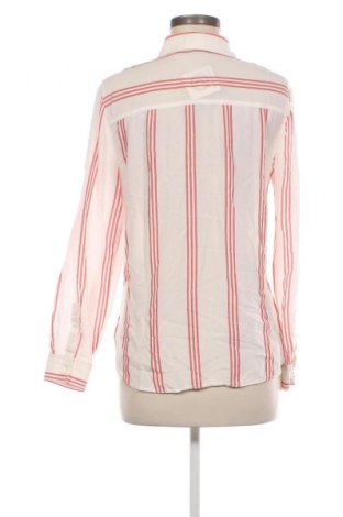 Damenbluse Zara, Größe M, Farbe Mehrfarbig, Preis 11,99 €