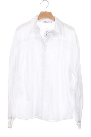 Damenbluse Zara, Größe XS, Farbe Weiß, Preis 37,11 €