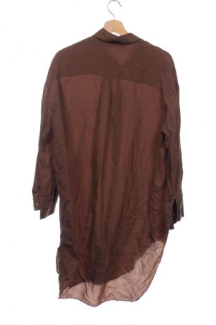 Damenbluse Zara, Größe XS, Farbe Braun, Preis 7,99 €