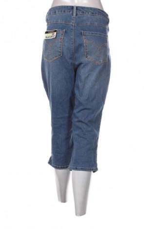 Dámské džíny  D.Jeans, Velikost XXL, Barva Modrá, Cena  579,00 Kč