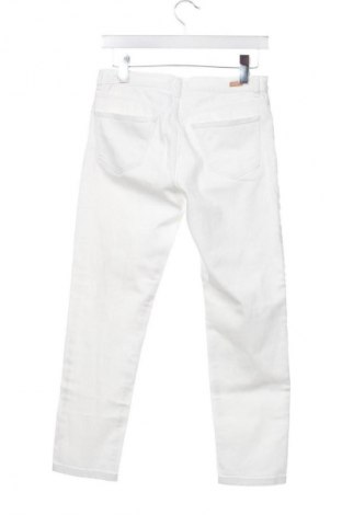 Damen Jeans Massimo Dutti, Größe S, Farbe Weiß, Preis 38,04 €