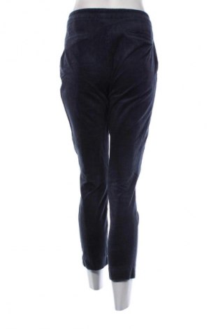 Damskie sztruksy Massimo Dutti, Rozmiar M, Kolor Niebieski, Cena 94,25 zł