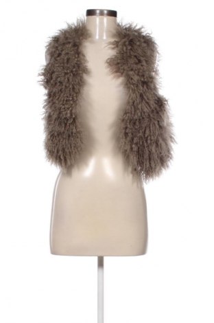 Vestă de femei Unbranded, Mărime S, Culoare Maro, Preț 198,74 Lei