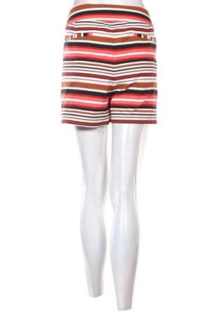 Damen Shorts 7th Avenue, Größe XXL, Farbe Mehrfarbig, Preis 16,99 €