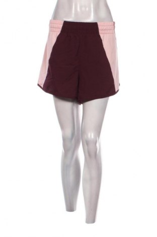 Damen Shorts Avia, Größe XXL, Farbe Mehrfarbig, Preis 13,99 €