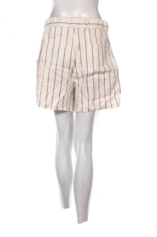 Damen Shorts Closed, Größe L, Farbe Mehrfarbig, Preis 54,99 €