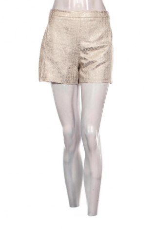 Pantaloni scurți de femei Dorothy Perkins, Mărime XL, Culoare Multicolor, Preț 137,99 Lei