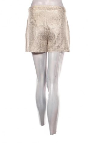 Pantaloni scurți de femei Dorothy Perkins, Mărime XL, Culoare Multicolor, Preț 137,99 Lei