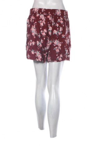 Damen Shorts Lily Morgan, Größe XL, Farbe Mehrfarbig, Preis € 10,99