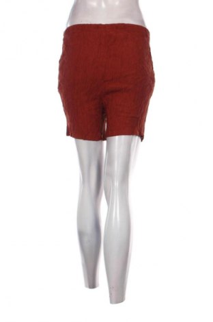 Damen Shorts Up 2 Fashion, Größe M, Farbe Braun, Preis € 10,99