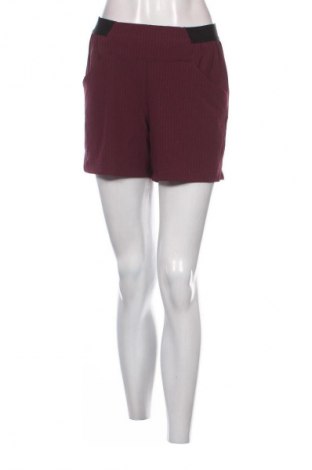 Damen Shorts Vaude, Größe M, Farbe Mehrfarbig, Preis € 20,99