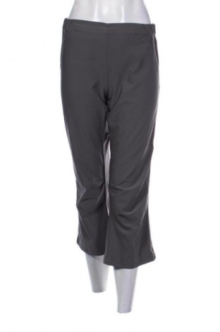 Damenhose Crane, Größe S, Farbe Grau, Preis € 11,99