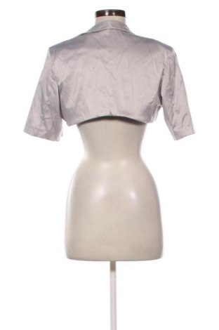 Damen Blazer Unbranded, Größe XXL, Farbe Grau, Preis € 33,99