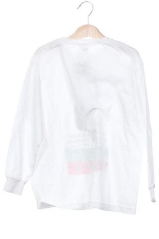 Dziecięca bluzka Fruit Of The Loom, Rozmiar 6-7y/ 122-128 cm, Kolor Biały, Cena 28,28 zł