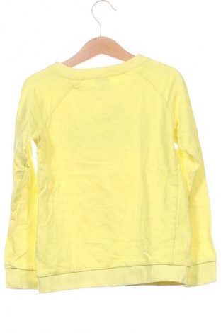 Dziecięca bluzka Girls, Rozmiar 7-8y/ 128-134 cm, Kolor Kolorowy, Cena 36,99 zł