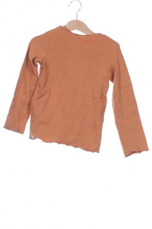 Kinder Shirt Zara, Größe 3-4y/ 104-110 cm, Farbe Braun, Preis 4,99 €