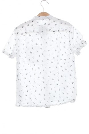 Kinderhemd Terranova, Größe 9-10y/ 140-146 cm, Farbe Mehrfarbig, Preis € 6,14