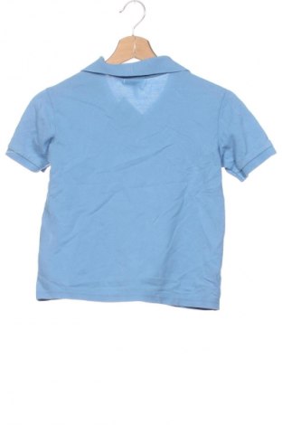 Παιδικό μπλουζάκι Lacoste, Μέγεθος 9-10y/ 140-146 εκ., Χρώμα Πολύχρωμο, Τιμή 16,39 €