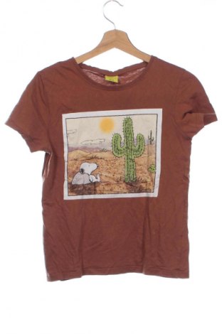 Dziecięcy T-shirt Peanuts, Rozmiar 12-13y/ 158-164 cm, Kolor Brązowy, Cena 24,00 zł