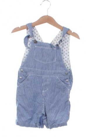 Παιδική σαλοπέτα Petit Bateau, Μέγεθος 12-18m/ 80-86 εκ., Χρώμα Πολύχρωμο, Τιμή 25,35 €