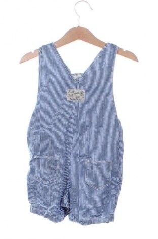 Παιδική σαλοπέτα Petit Bateau, Μέγεθος 12-18m/ 80-86 εκ., Χρώμα Πολύχρωμο, Τιμή 25,35 €