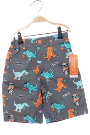 Dziecięce szorty Garanimals, Rozmiar 6-7y/ 122-128 cm, Kolor Kolorowy, Cena 54,20 zł