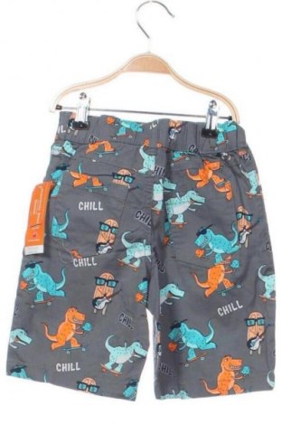 Dziecięce szorty Garanimals, Rozmiar 6-7y/ 122-128 cm, Kolor Kolorowy, Cena 54,20 zł