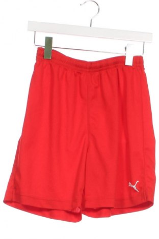 Dětské krátké kalhoty  PUMA, Velikost 15-18y/ 170-176 cm, Barva Červená, Cena  439,00 Kč