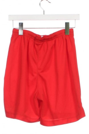 Dětské krátké kalhoty  PUMA, Velikost 15-18y/ 170-176 cm, Barva Červená, Cena  439,00 Kč