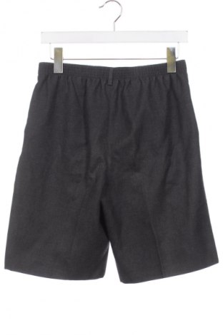 Pantaloni scurți pentru copii Trutex, Mărime 14-15y/ 168-170 cm, Culoare Gri, Preț 38,00 Lei