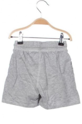 Kinder Shorts Unbranded, Größe 1-2m/ 50-56 cm, Farbe Grau, Preis 6,72 €