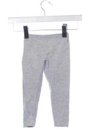 Colanți pentru copii Alive, Mărime 18-24m/ 86-98 cm, Culoare Gri, Preț 37,49 Lei