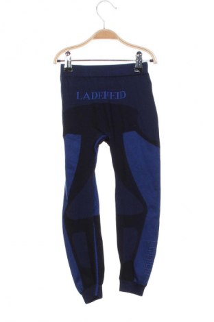 Dziecięce legginsy Ladeheid, Rozmiar 6-7y/ 122-128 cm, Kolor Kolorowy, Cena 45,99 zł