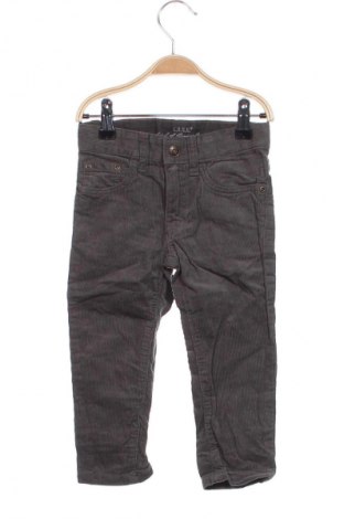 Kinderhose H&M, Größe 18-24m/ 86-98 cm, Farbe Grau, Preis 14,99 €