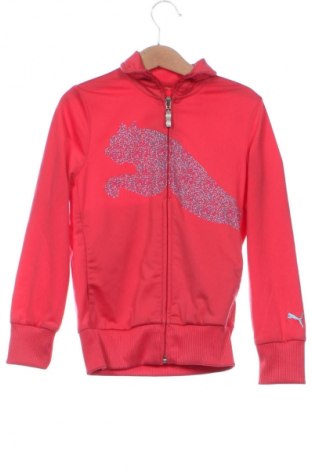 Dziecięca sportowa bluza PUMA, Rozmiar 6-7y/ 122-128 cm, Kolor Pomarańczowy, Cena 111,99 zł