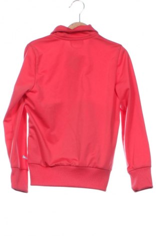 Dziecięca sportowa bluza PUMA, Rozmiar 6-7y/ 122-128 cm, Kolor Pomarańczowy, Cena 111,99 zł