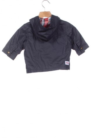 Kinderjacke Jacadi, Größe 6-9m/ 68-74 cm, Farbe Blau, Preis € 11,99