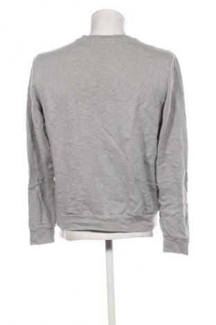Herren Shirt Calvin Klein, Größe L, Farbe Grau, Preis 51,99 €