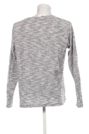 Herren Shirt Rainbow, Größe L, Farbe Mehrfarbig, Preis 13,99 €