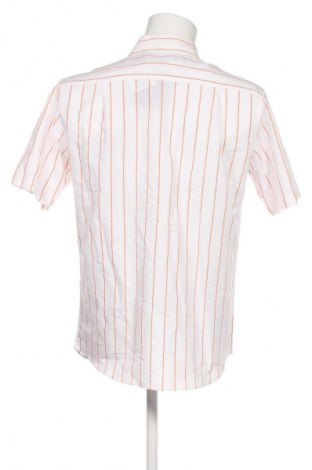 Herrenhemd Angelo Litrico, Größe L, Farbe Mehrfarbig, Preis 31,99 €
