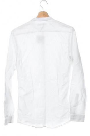 Herrenhemd Zara, Größe S, Farbe Weiß, Preis 9,99 €