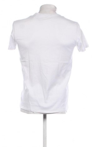 Herren T-Shirt Calvin Klein Jeans, Größe S, Farbe Mehrfarbig, Preis 27,56 €